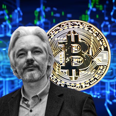 bitcoin assange